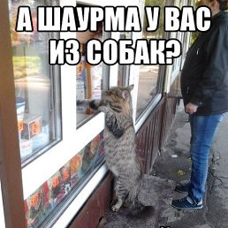 ���� �������, ������, 40 ��� - ��������� 27 ���� 2018
