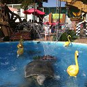 ���� �������, ���������, 59 ��� - ��������� 8 ������ 2018 � ������ ���� ����������