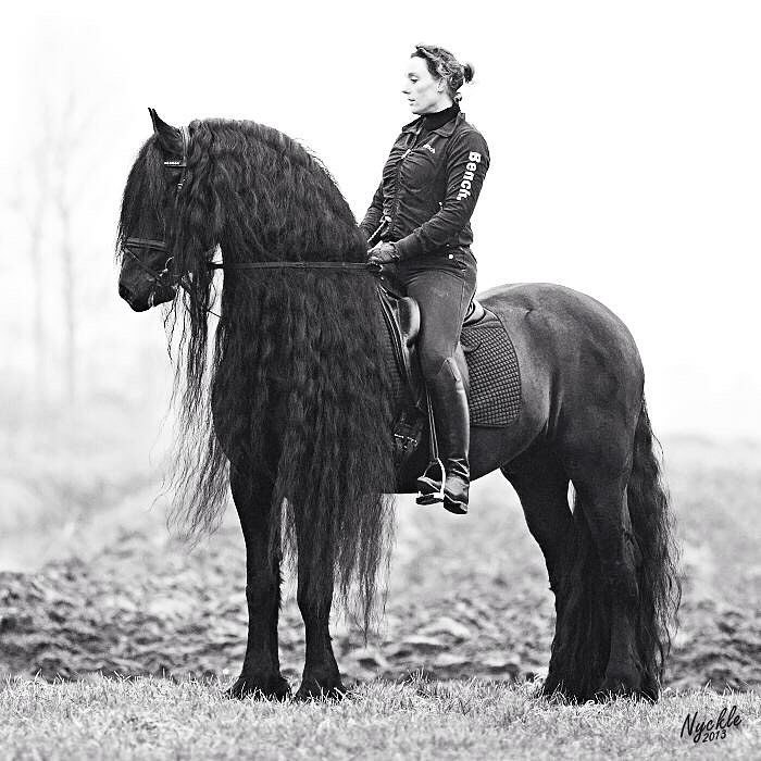  -   ! - 25  2018  03:38