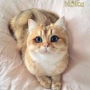 ���� Arthur, �������, 46 ��� - ��������� 19 ������ 2017 � ������ ���� ����������