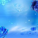 ���� Zita ***, �������, 51 ��� - ��������� 4 ���� 2018 � ������ ���� ����������
