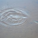 ���� ������, ���������, 56 ��� - ��������� 15 ������� 2017 � ������ �������� �� ����� �������