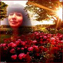 ���� ���, �������� - ��������� 6 ������ 2018 � ������ ���� ����������