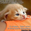 ���� �����, ������������ - ��������� 11 ������ 2018 � ������ ������ ��������