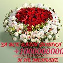  , , 55  -  25  2017    