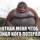  Milena,  -  17  2017   