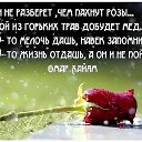 ���� �������, ������, 66 ��� - ��������� 24 ������ 2017 � ������ ������
