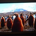  ,  -  13  2017        »