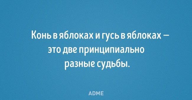   - 26  2018  17:35