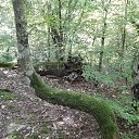 ���� �����, ����������� - ��������� 29 ����� 2018 � ������ ���� ����������