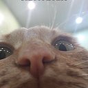 ���� ��������, ��������� - ��������� 30 ��� 2018 � ������ ���� ����������