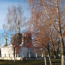 �����, ����, 61 ���