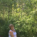 ���� ��������, �����������, 61 ��� - ��������� 7 ���� 2018 � ������ ���� ����������