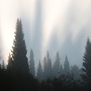 ��������� �� ������� ���� ����������
