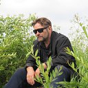 ���� ������ �., ���� - ��������� 3 ���� 2018