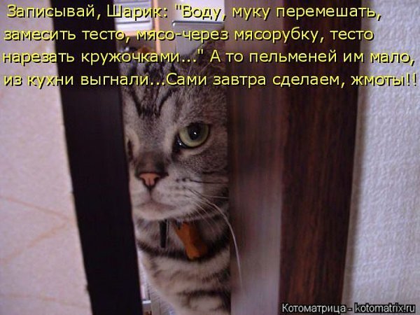   :3 - 28  2018  14:42