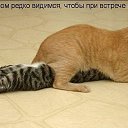 ���� Walera, �������� - ��������� 15 ���� 2018 � ������ ������ ��������