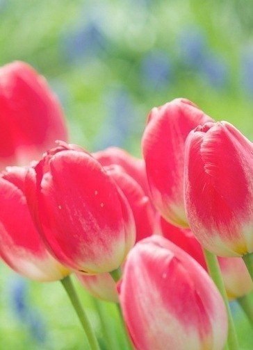   - 3  2018  03:45 - 4