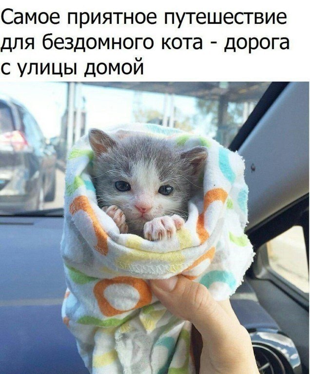  -  - 31  2018  03:30