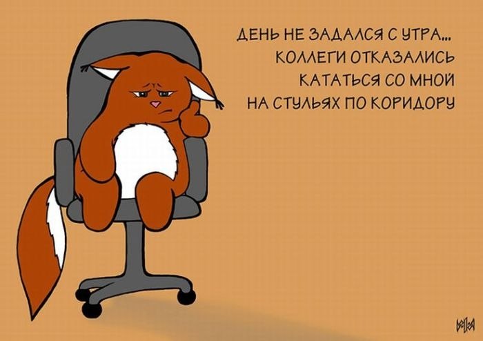 BEST | , ,  - 19  2018  02:49