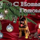 ���� �����, ������ - ��������� 31 ������� 2017 � ������ ������ ��������