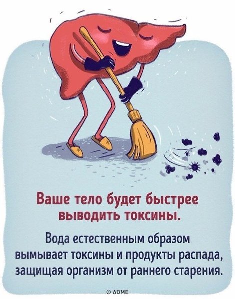 Что будет, если все напитки заменить водой - 2