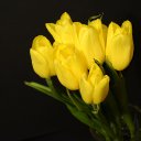 ���� Alexandr, �����-��������� - ��������� 9 ����� 2018 � ������ ������ ��������