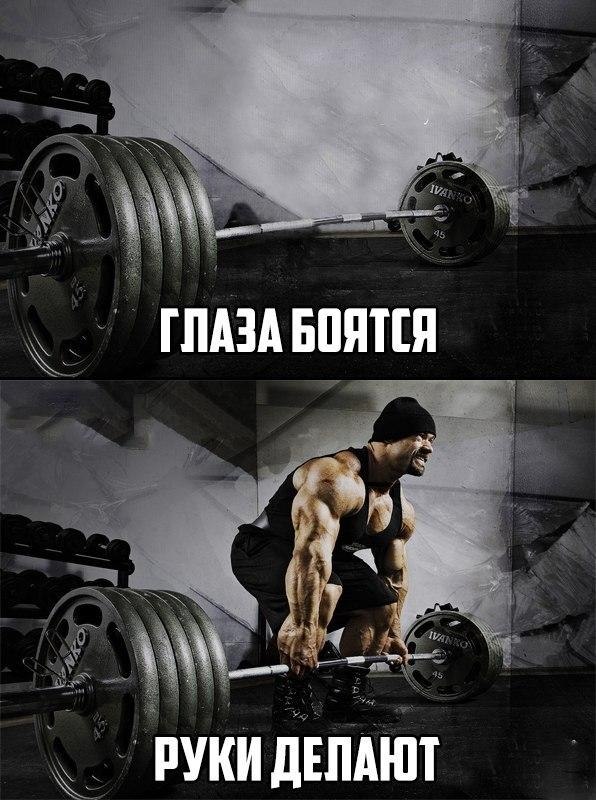 SportFeed - 3  2018  03:48