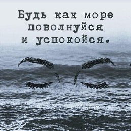 Alina, ������