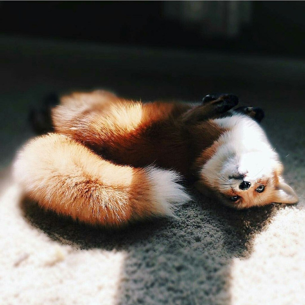 :     .