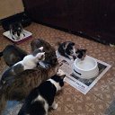 ���� ������, �����, 59 ��� - ��������� 2 ������ 2018 � ������ ������ ��������