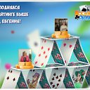 ���� ������, �����-���������, 74 ���� - ��������� 16 ������ 2018 � ������ �������� �������-�������