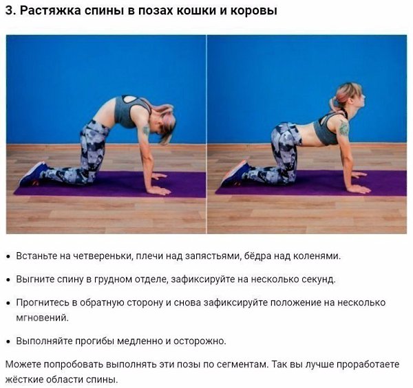 10 упражнений для здоровья спины и формирования красивой осанки.#тренировка@ican - 3