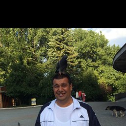 Cingiz, ����, 54 ����