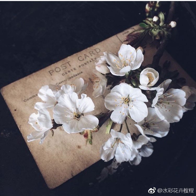 #�������@elehandmade.������ ������ ��� ����������� ��� - 9