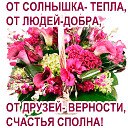 ���� �������, �������, 72 ���� - ��������� 19 ������� 2017 � ������ �������