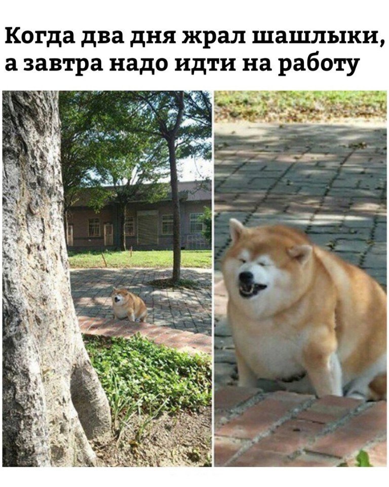   - 3  2018  02:53