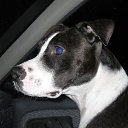 ���� �������, ���������, 44 ���� - ��������� 6 ������� 2018 � ������ ���� ����������