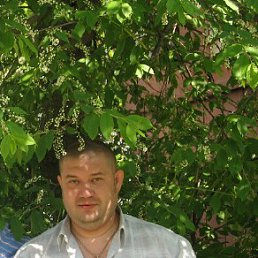 �����, ������, 48 ���