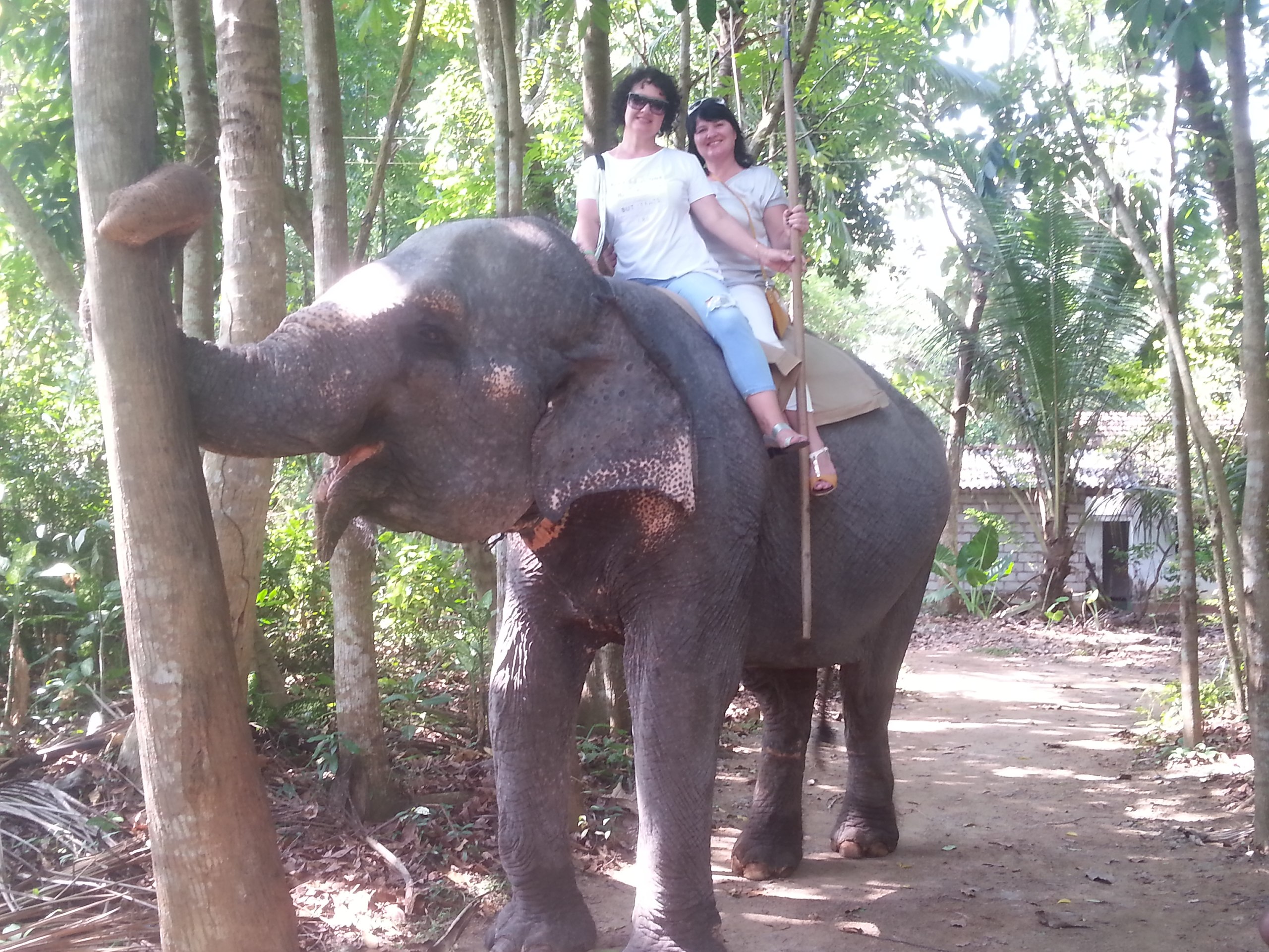 Sveta  - 2  2018  04:24