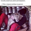 ���� �����, ������, 38 ��� - ��������� 21 ������ 2017 � ������ ������ ��������