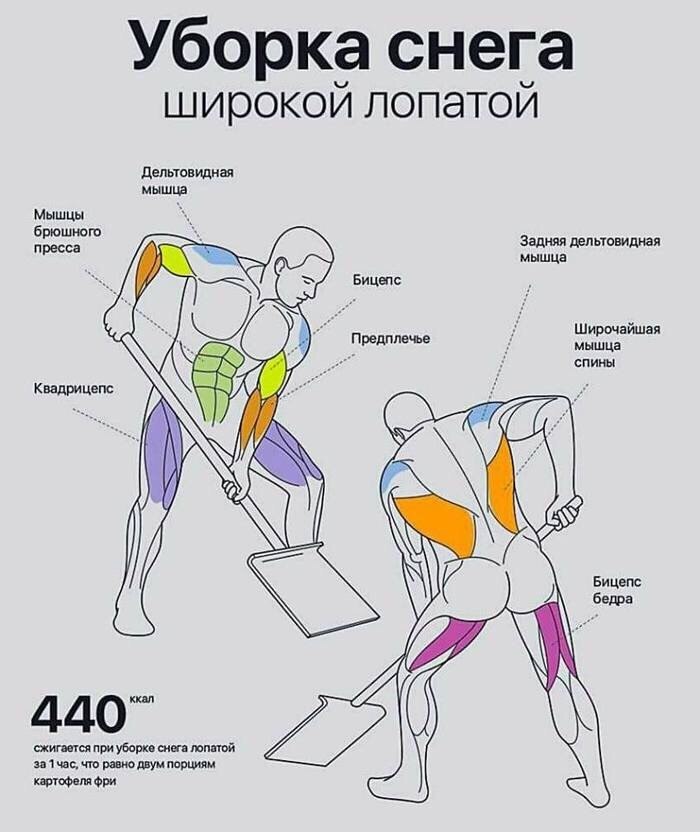    - 29  2017  03:41