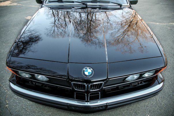 BMW M6 E24