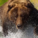 ���� �������, ��������, 46 ��� - ��������� 31 ������ 2018