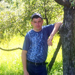 ����, ��������, 46 ���