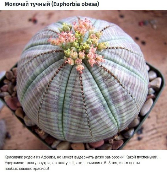 6 ������������ ��������� ��������, � ������� �� ��� �� ������. - 5