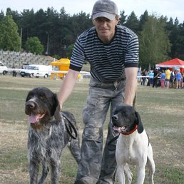 ����, ����������, 55 ���