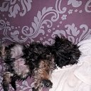 ���� �����, ��������, 55 ��� - ��������� 20 ������� 2017 � ������ ���� ����������