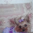 �����, ������� �� ���������� �������!!! �� ������� ���� ����������