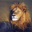  Klavdiy,   -  29  2018    -